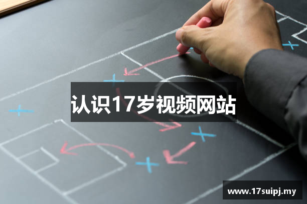 认识17岁视频网站
